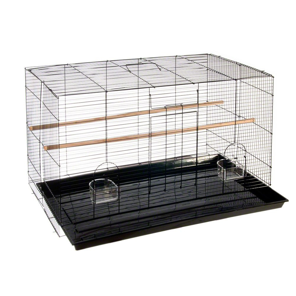Cage Oiseau De 15 Modèles De Cage Pour Oiseaux Dès 40