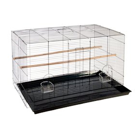 Cage Oiseau De 15 Modèles De Cage Pour Oiseaux Dès 40
