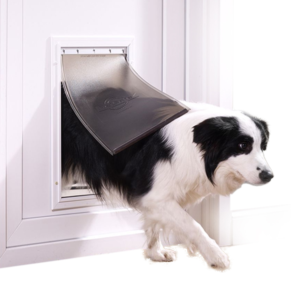 Niche Chien Pas Cher De 25 Modèles Dès 50 Zooplus