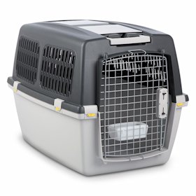 Cage Pour Chien Et Caisse De Transport Pour Chien Achat