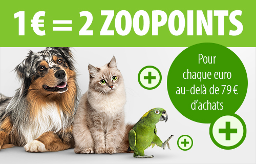 Animalerie En Ligne Nourriture Animaux Et Accessoires