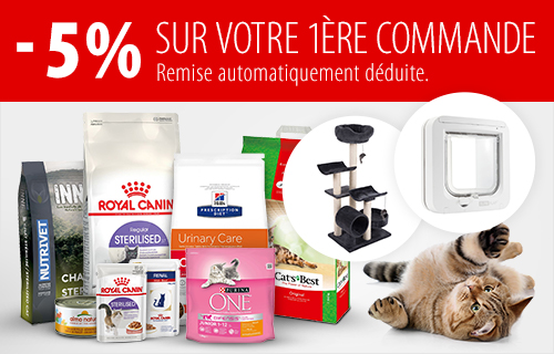 Nourriture Chat Accessoires Pour Chats Boutique Chat Zooplus