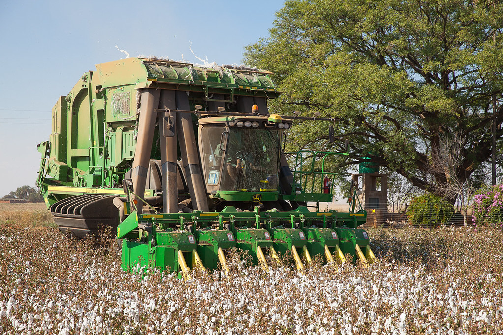 [WordPress Migration Data]
{
  "source": "WordPress Migration",
  "originalUrl": "https://www.sakeliga.org.za/wp-content/uploads/2023/12/48050017702_90c6381199_b.jpg",
  "wpPath": "/wp-content/uploads/2023/12/48050017702_90c6381199_b.jpg",
  "wpYear": "2023",
  "wpMonth": "12",
  "wpPostCount": 2,
  "wpPostIds": [
    71164,
    71160
  ],
  "migratedAt": "2025-09-18T13:59:56.468Z",
  "migratedBy": "wp-media-to-contentful.mjs",
  "fileSize": 412424
}
[End WordPress Migration Data]