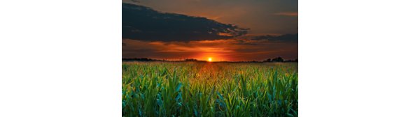 [WordPress Migration Data]
{
  "source": "WordPress Migration",
  "originalUrl": "https://www.sakeliga.org.za/wp-content/uploads/2021/02/Copy-of-Copy-of-Untitled.png",
  "wpPath": "/wp-content/uploads/2021/02/Copy-of-Copy-of-Untitled.png",
  "wpYear": "2021",
  "wpMonth": "02",
  "wpPostCount": 2,
  "wpPostIds": [
    48590,
    48594
  ],
  "migratedAt": "2025-09-18T14:13:08.939Z",
  "migratedBy": "wp-media-to-contentful.mjs",
  "fileSize": 66894
}
[End WordPress Migration Data]