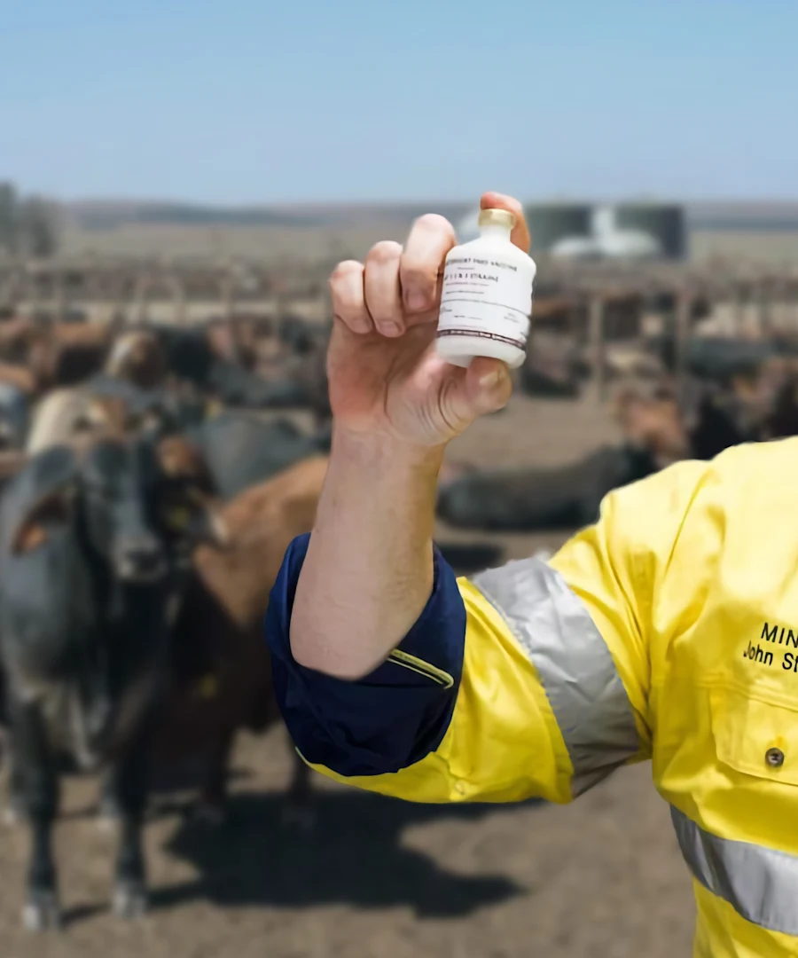 John Steenhuisen vaccine