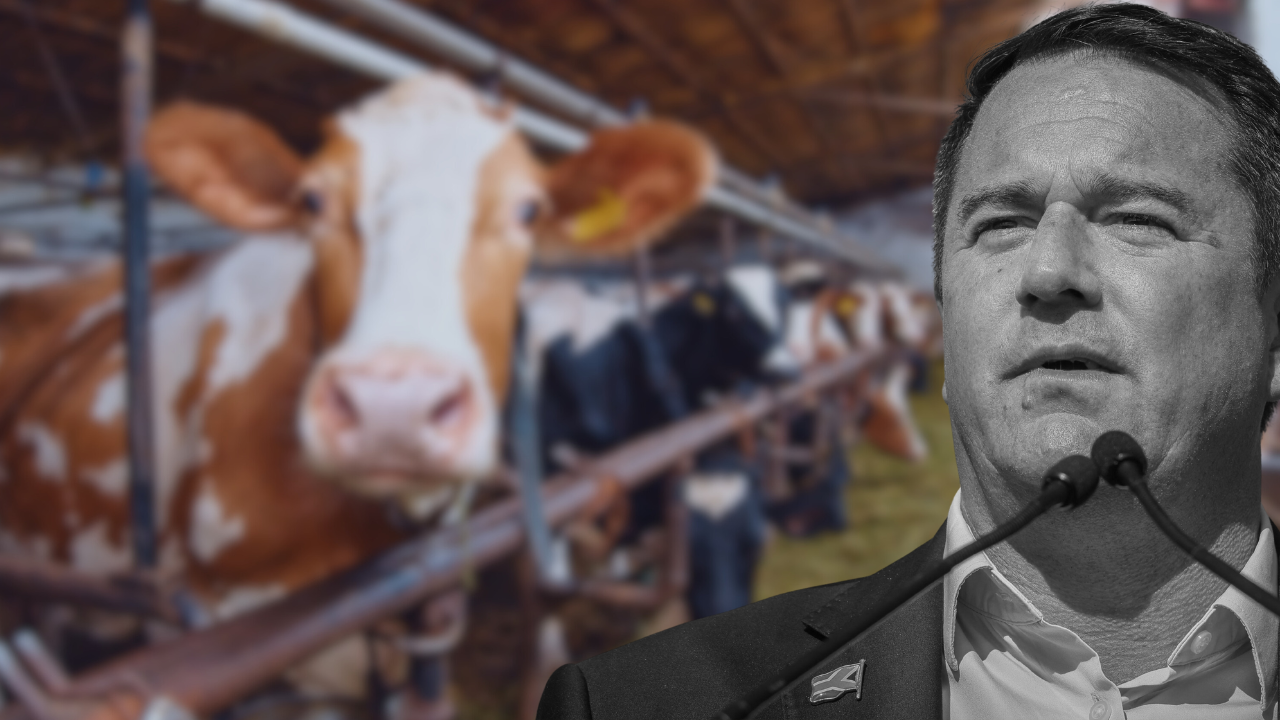 FMD: Appropriate response from Minister Steenhuisen still outstanding