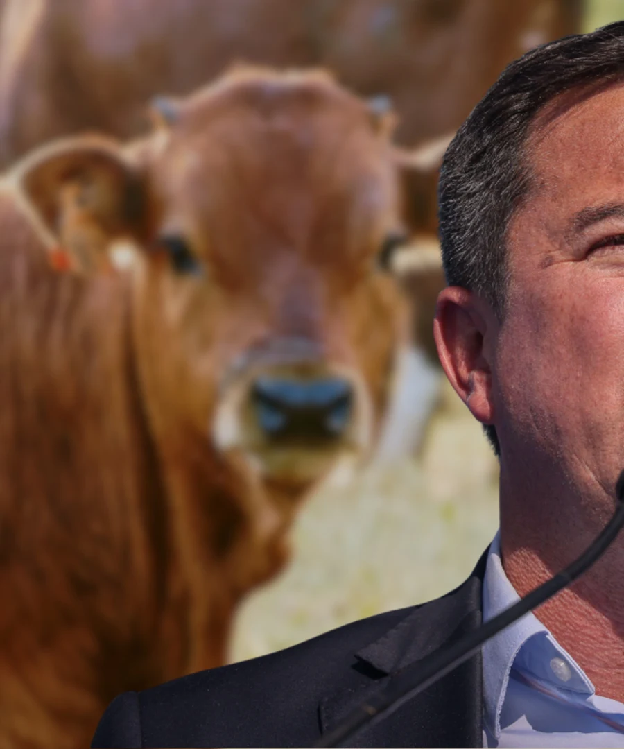 John Steenhuisen bek-en-klouseer