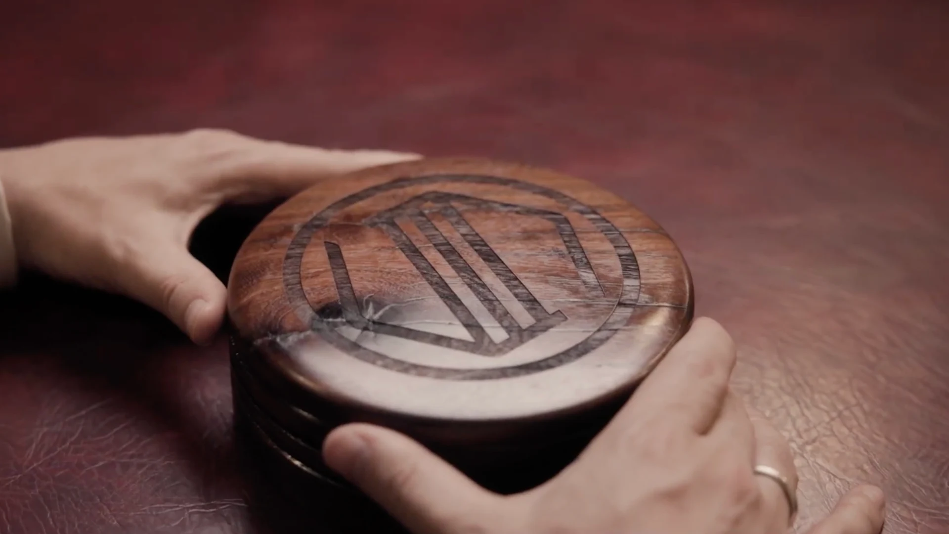 sakeliga litigation logo gavel