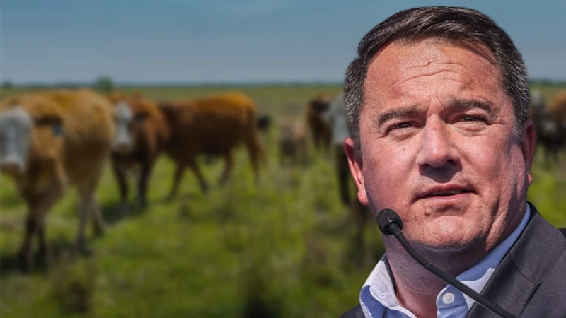 Sakeliga rig aanmaning aan minister Steenhuisen oor BKS-inenting