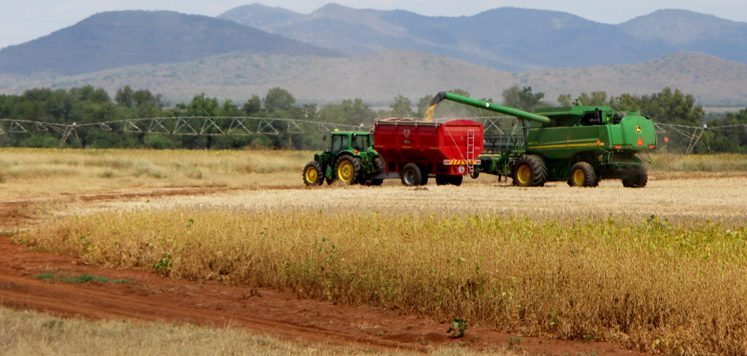 [WordPress Migration Data]
{
  "source": "WordPress Migration",
  "originalUrl": "https://www.sakeliga.org.za/wp-content/uploads/2023/12/South_Africa_-_Harvesting_-_001-scaled.jpeg",
  "wpPath": "/wp-content/uploads/2023/12/South_Africa_-_Harvesting_-_001-scaled.jpeg",
  "wpYear": "2023",
  "wpMonth": "12",
  "wpPostCount": 2,
  "wpPostIds": [
    71235,
    71240
  ],
  "migratedAt": "2025-09-18T14:04:03.522Z",
  "migratedBy": "wp-media-to-contentful.mjs",
  "fileSize": 481702
}
[End WordPress Migration Data]