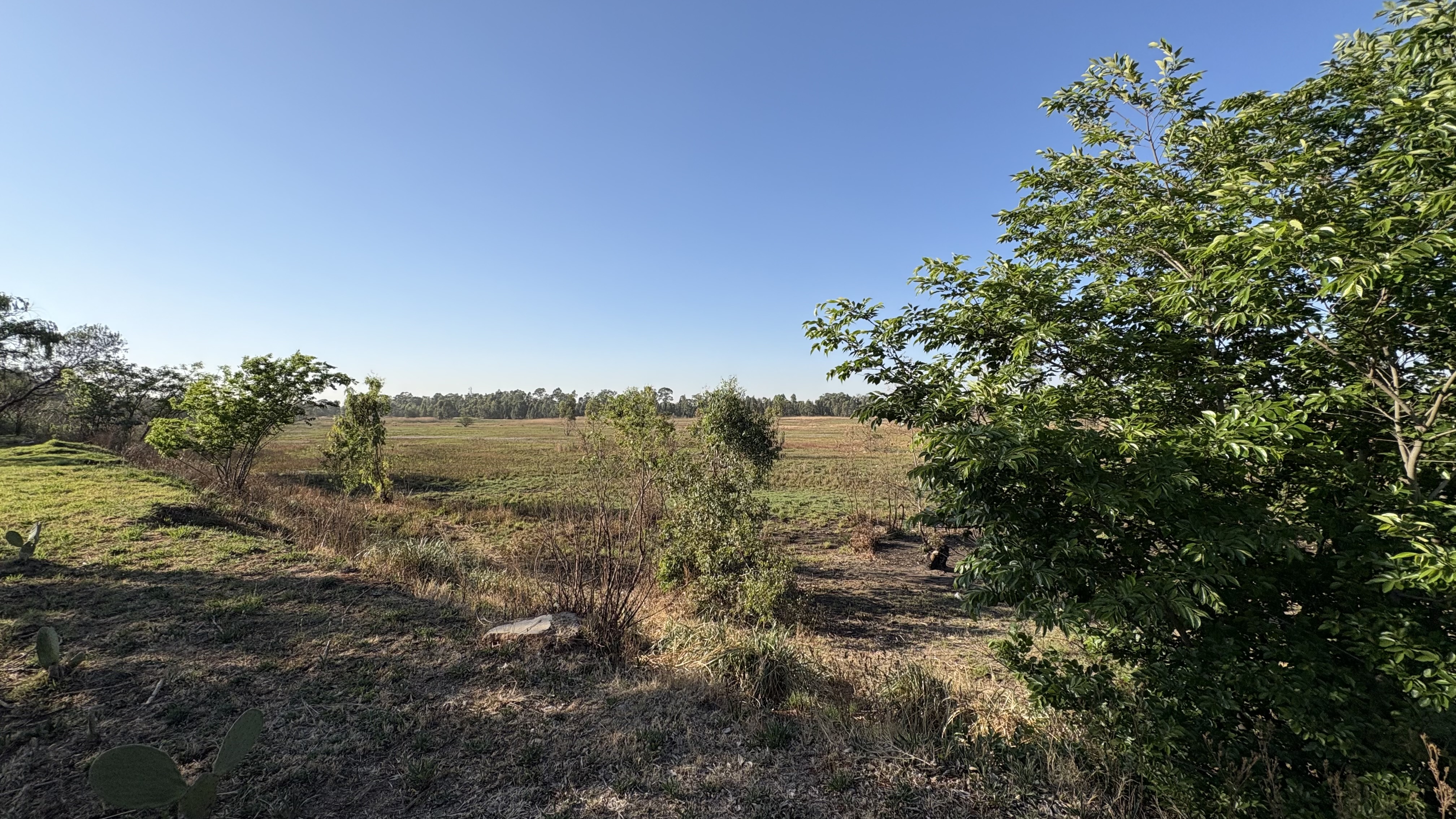 Gedeelte 406 van die plaas Driefontein, wat deur die Ekurhuleni-metro onteien is.