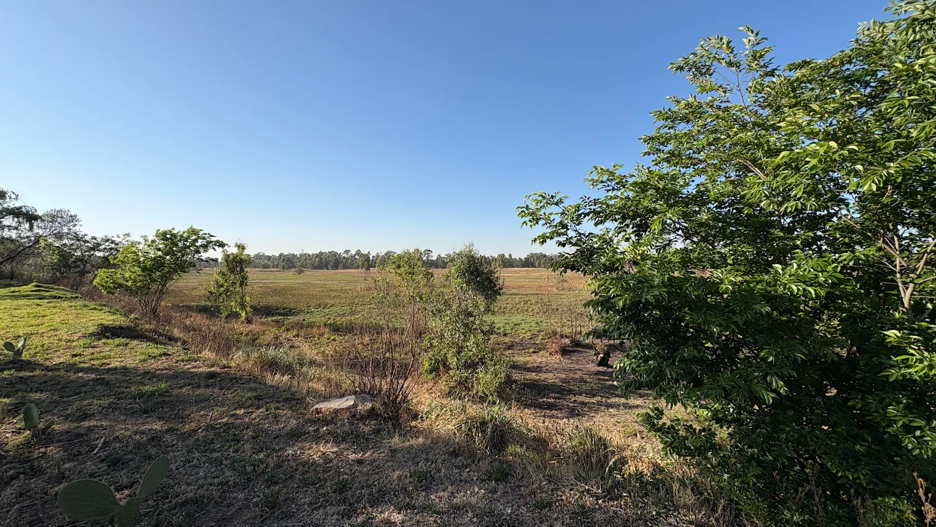 Gedeelte 406 van die plaas Driefontein, wat deur die Ekurhuleni-metro onteien is.
