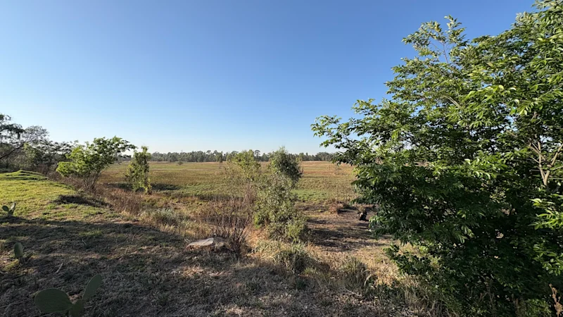 Driefontein expropriation: City escalates lawfare to avoid compensation