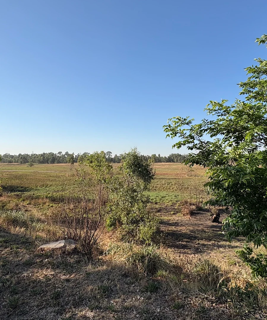 Driefontein Farm in Ekurhuleni