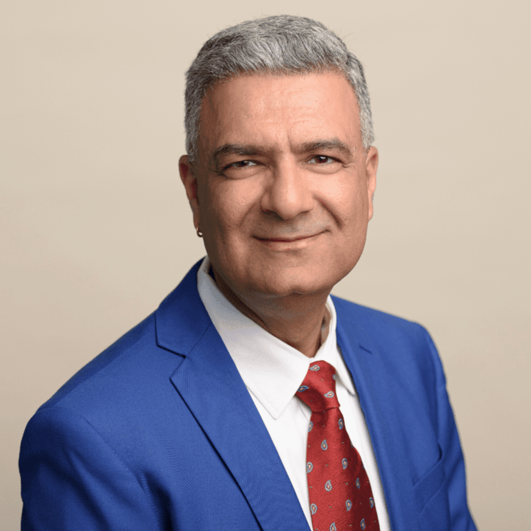 2026 Election Dave Kapur