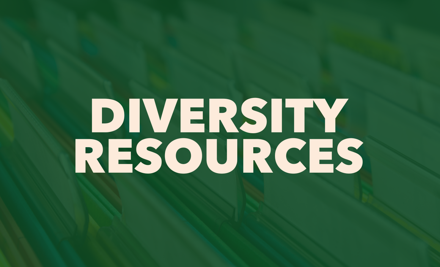 diversity resources website