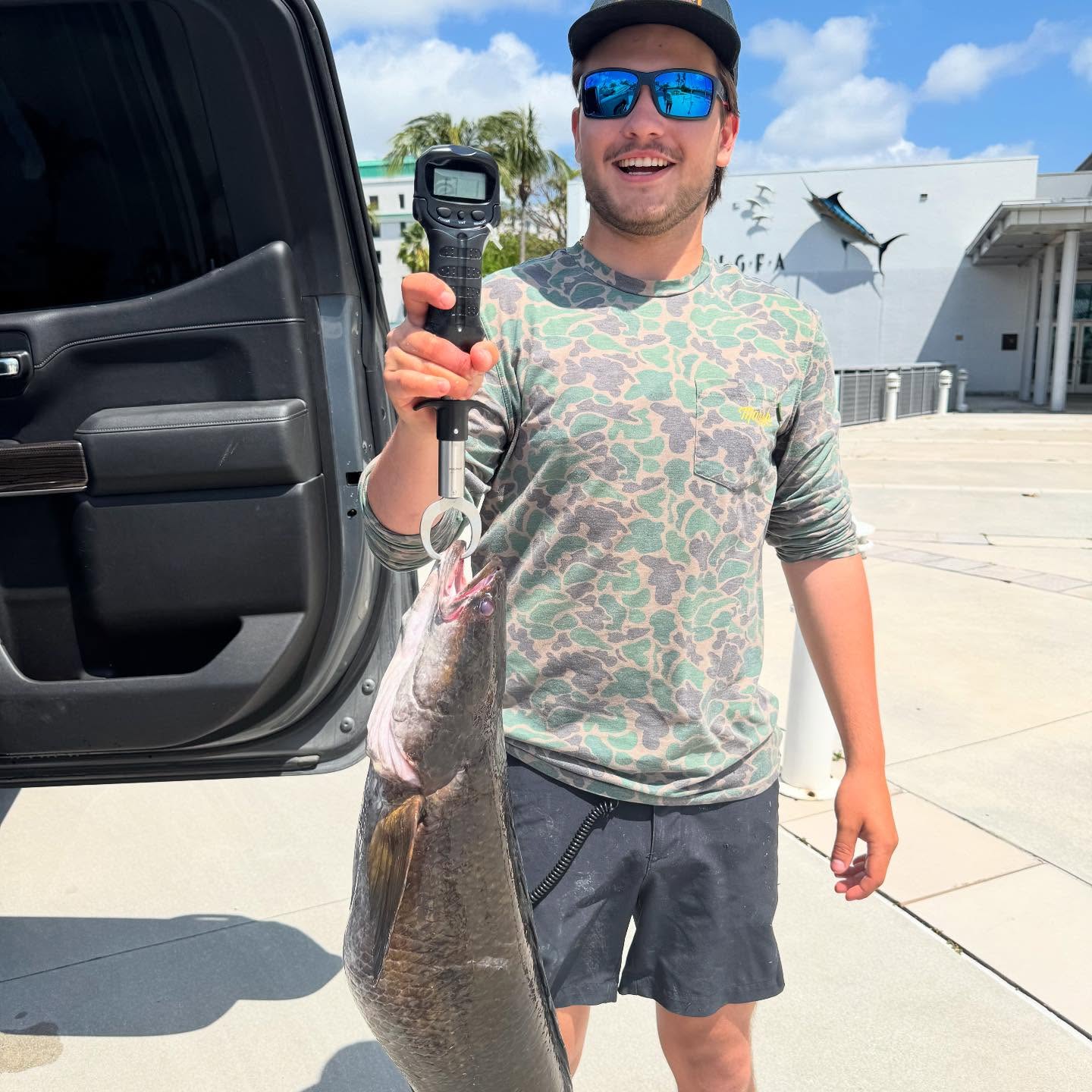 heavy snakehead