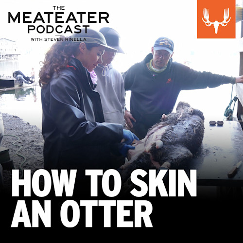 Ep.  754: How to Skin a Sea Otter
