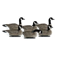 Lesser Floating Canada Geese 6 Pack