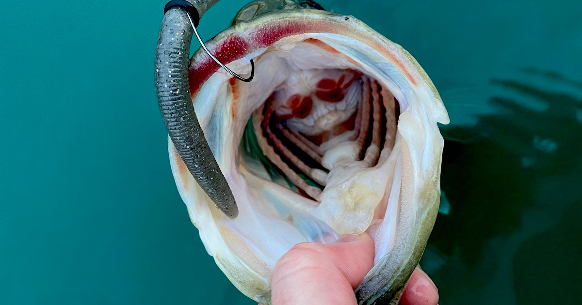 bass soft plastic lures All In One Fishing Kit For Freshwater Pliers and Bait bag Perfection Lures Dudley's Assorted Bait