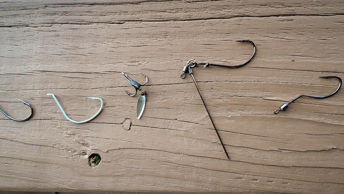 5 Rigs You Need in Your Tackle Box
