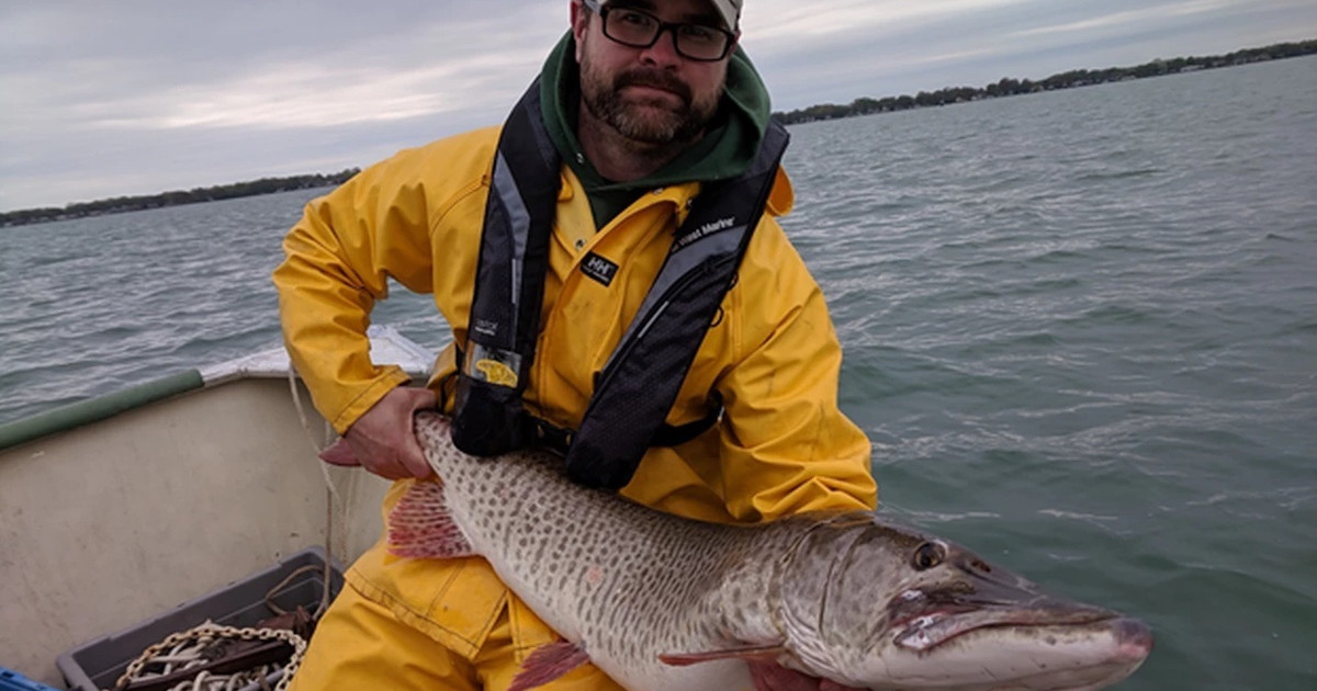 You Won't Believe How Far this Muskie Traveled