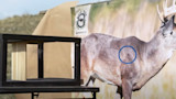 Should You Shoot an Animal Through the Brush?