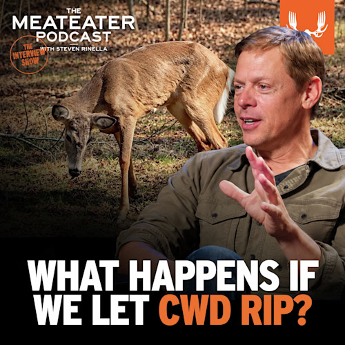 THE MEATEATER PODCAST with STEVEN RINELLA — WHAT HAPPENS IF WE LET CWD RIP? Deer grazing and man gesturing
