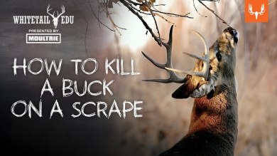 How to Identify, Interpret, and Hunt Deer Scrapes