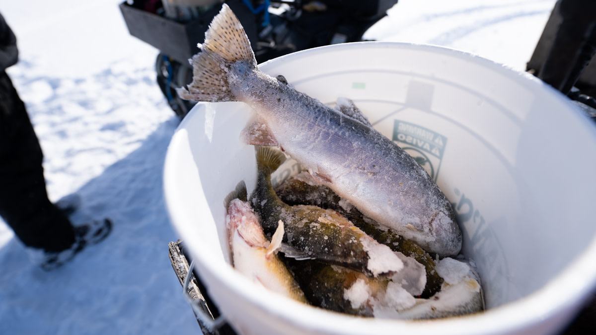 Hardwater Exposure: A Beginner’s Look at Ice Fishing