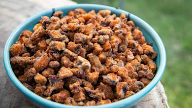 Bowl of crispy fried octopus bites in turquoise bowl on weathered wood