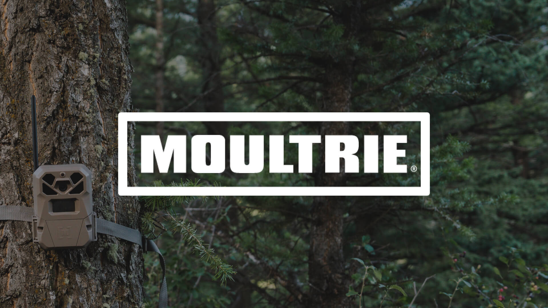 MeatEater x Moultrie Mobile