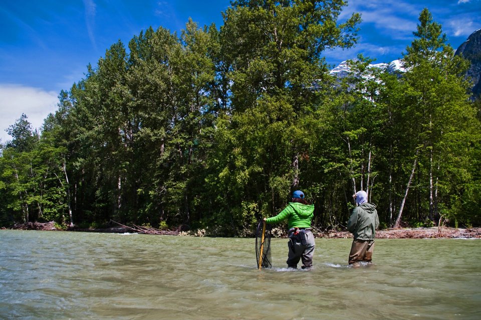 Spey Casting for Steelhead: What's In A Cast?