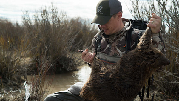 California Bans Fur Trapping, Rinella and Callaghan Respond