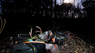 Knife Accident Turns Deer Hunt into All-Night Challenge