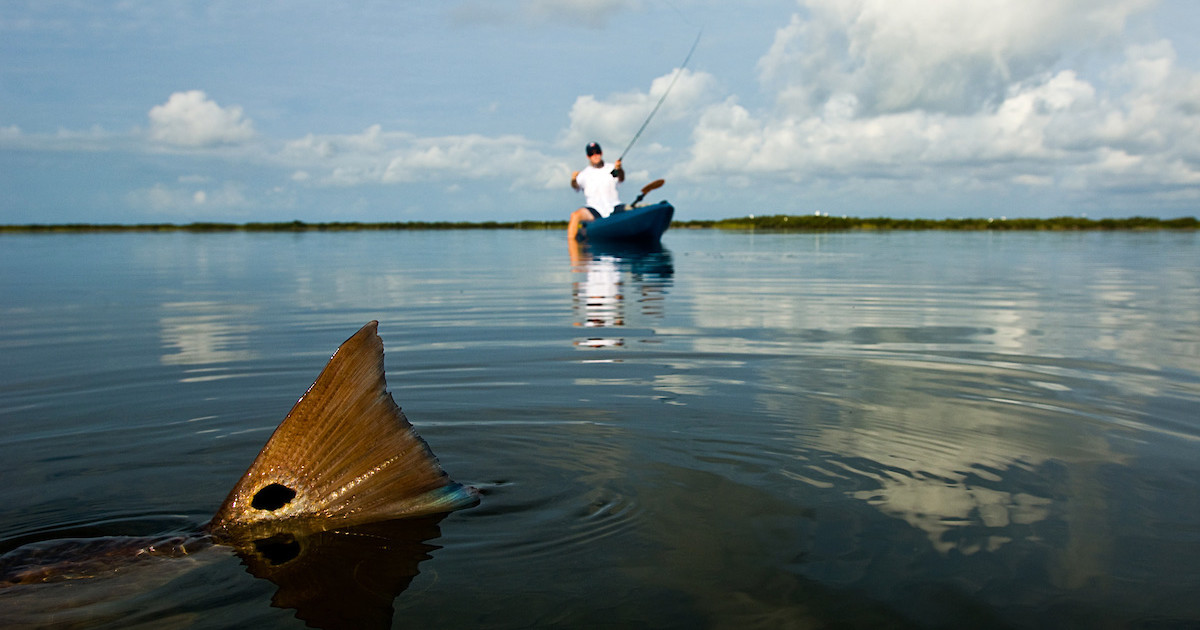 A Marsh of Your Own: How to Catch Redfish by Kayak