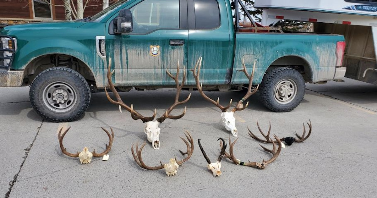 Man Receives Jail Time After Failing to Meet Wyoming’s Residency Requirements Man Receives Jail Time After Failing to Meet Wyoming’s Residency Requirements