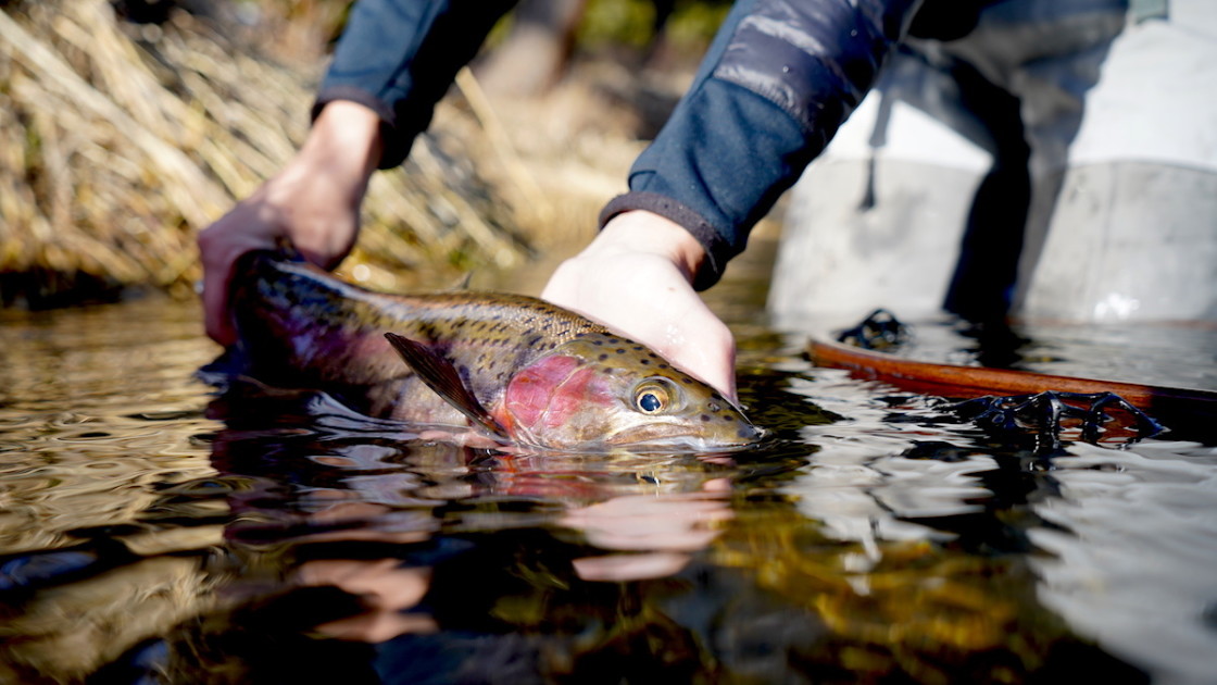 Supreme Is Getting Into Fly Fishing