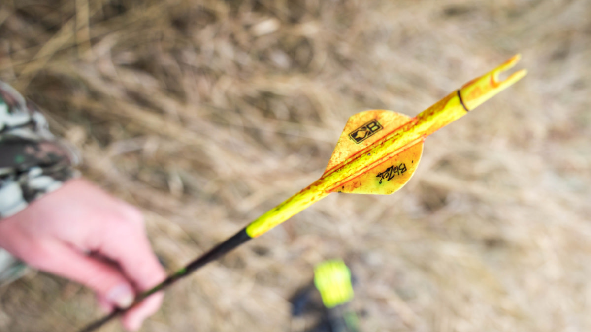 Are Single- or Double-Bevel Broadheads Better?