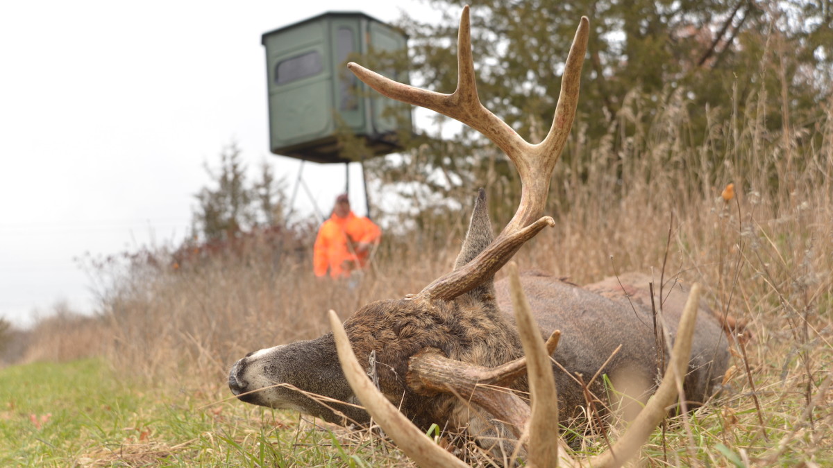 Is Scoring Whitetails Stupid?