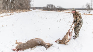 Ask MeatEater: Is It OK to Shoot Fawns?