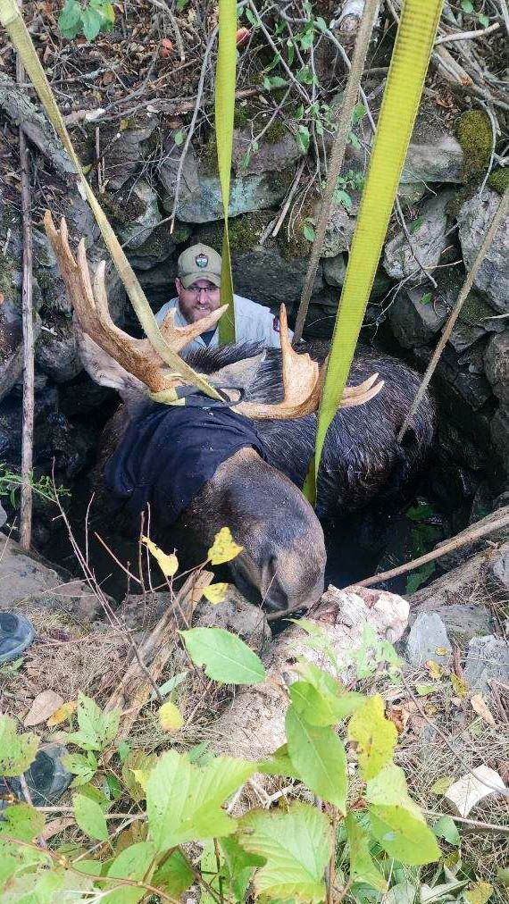 549246493 1200206078807644 7059821282351031459 n