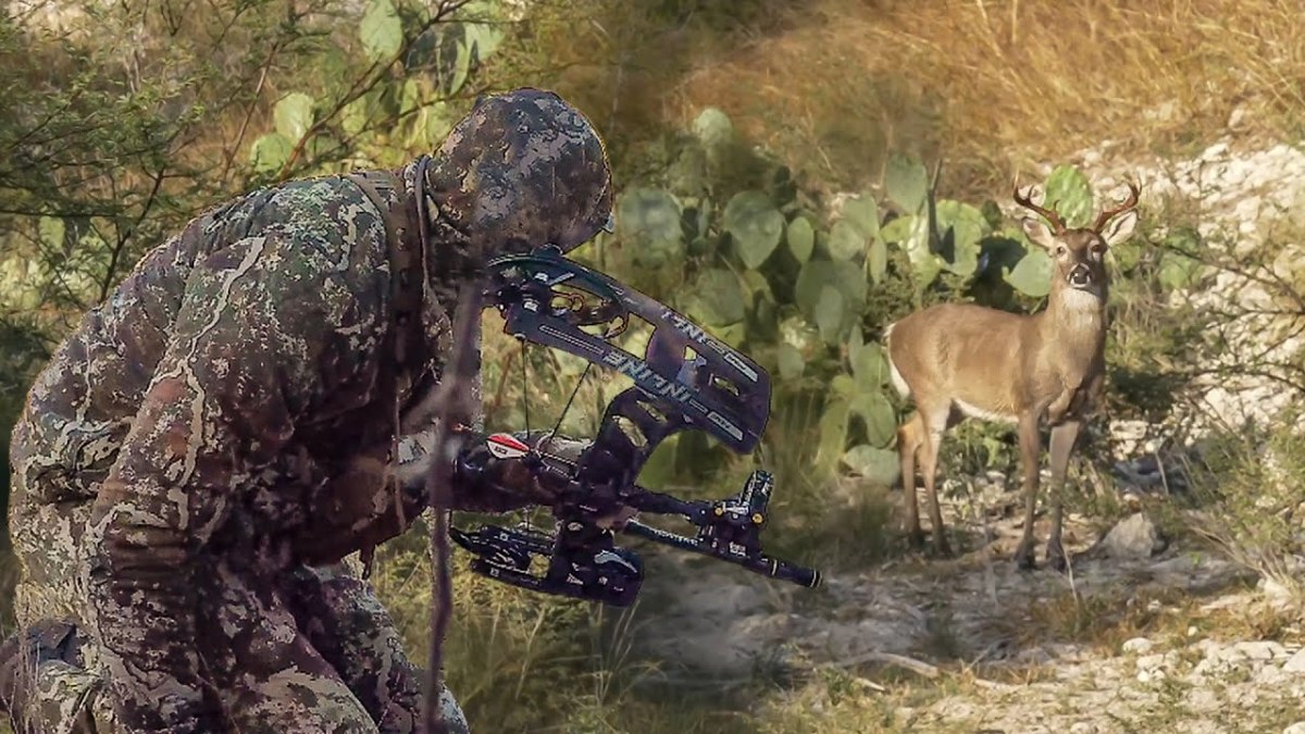 Hunting Public Land Whitetails in South Texas with Mark Kenyon