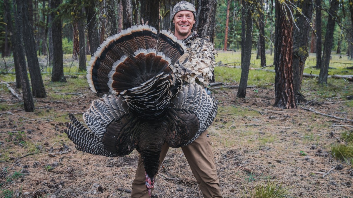 Three Ways You Can Help with Wild Turkey Conservation