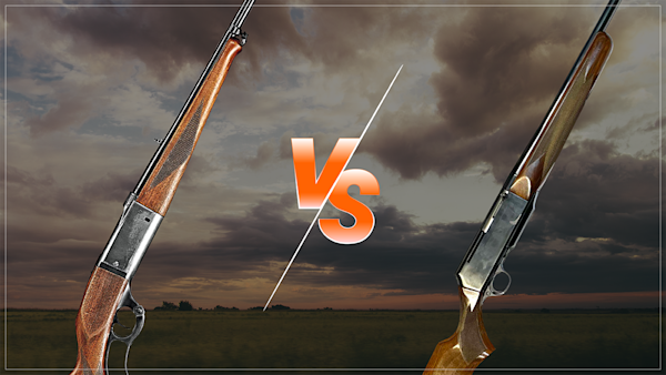 Savage Model 99 vs. Browning BAR