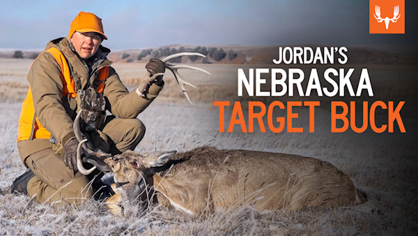 ME_JB_303_NE Whitetail_02.jpg