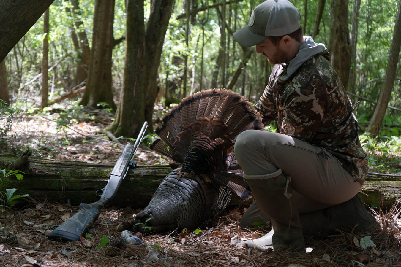 Hunter kneeling in woods beside harvested turkey with shotgun on a log