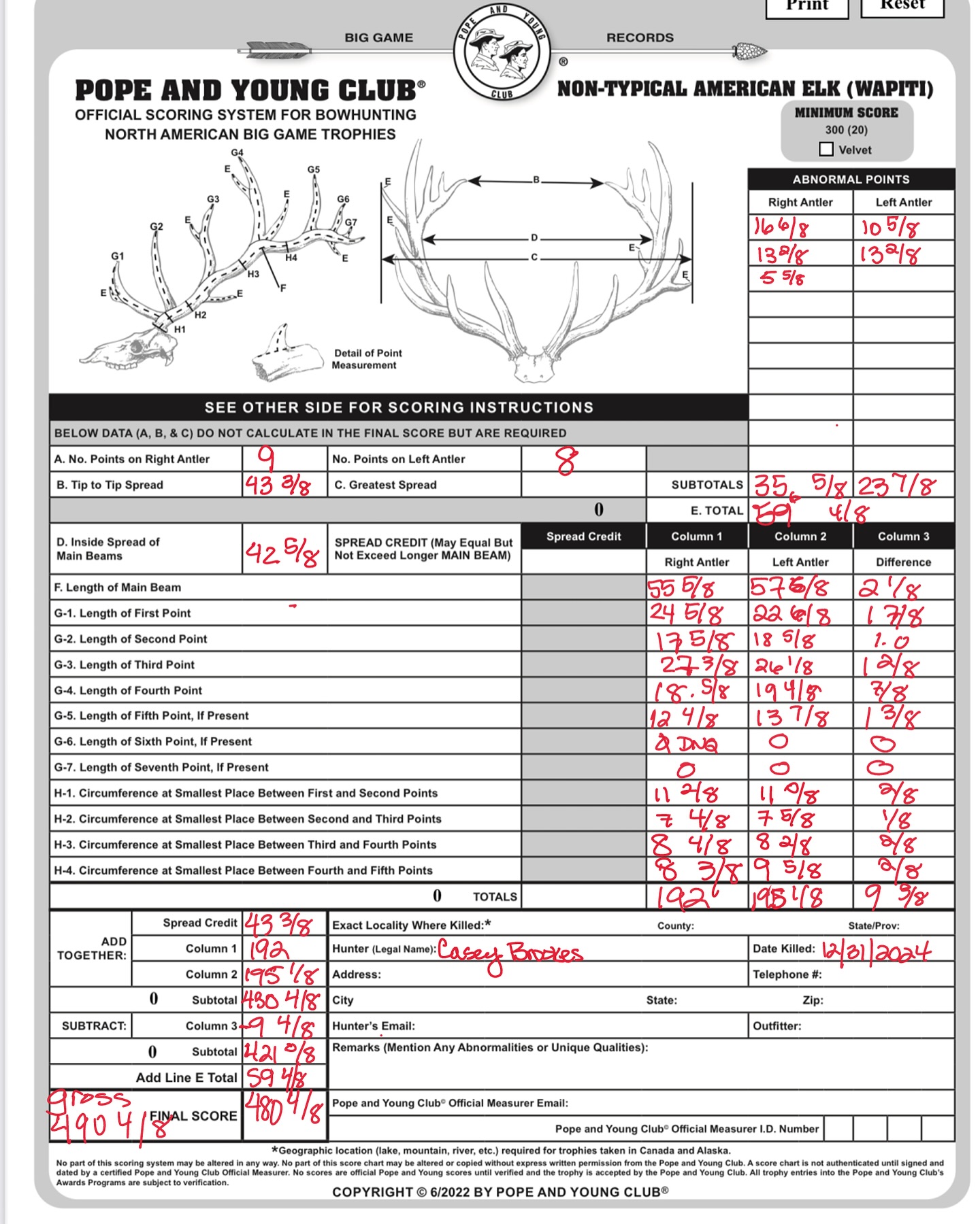 p&y scorecard