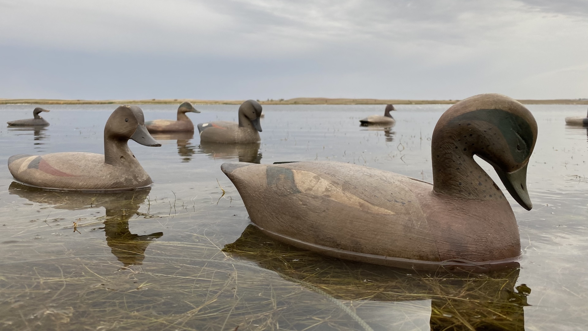 wooden decoy spread