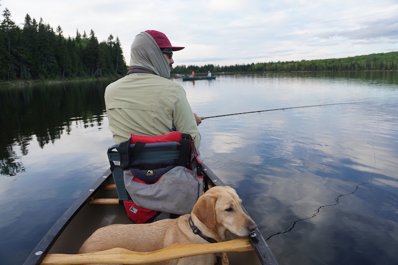 How to Train a Good Fishing Dog